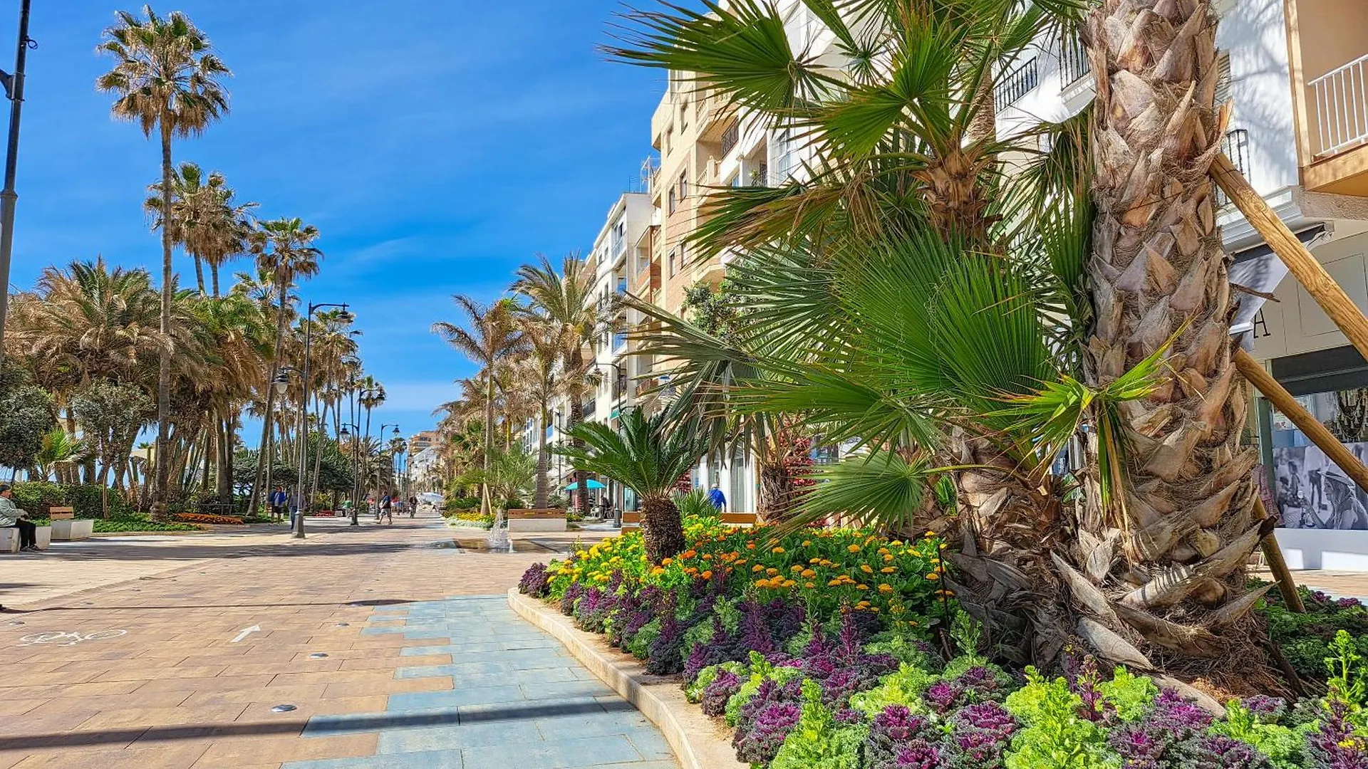 Escape To Estepona